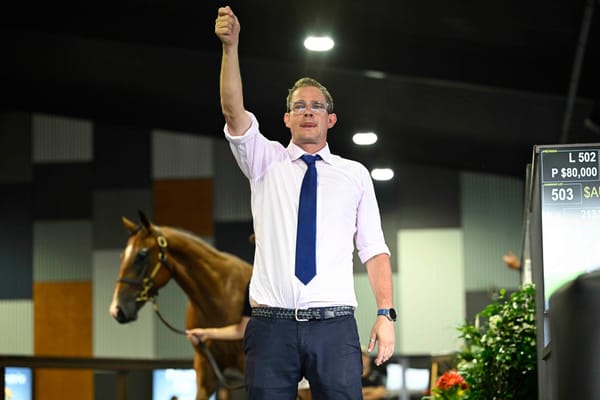 ‘It’s an adjustment’ - Sellers on a sticky wicket as yearling market turns more selective