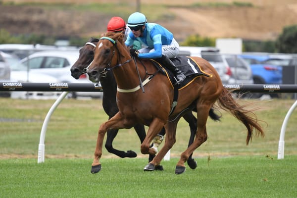 The Kiwi chasing a Quokka in the race for Perth’s richest turf prize