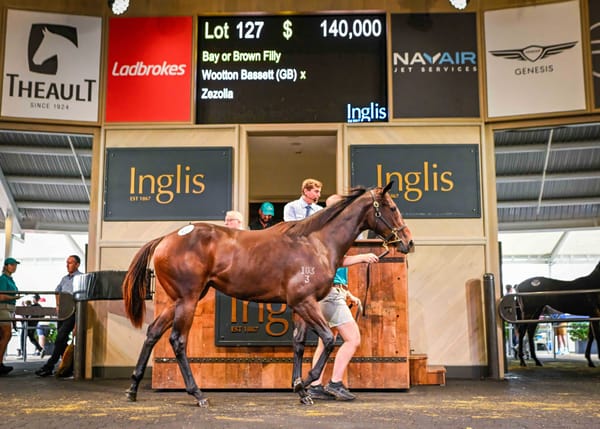 HTBA Yearling Sale shows strong growth with $140,000 Wootton Bassett filly on top