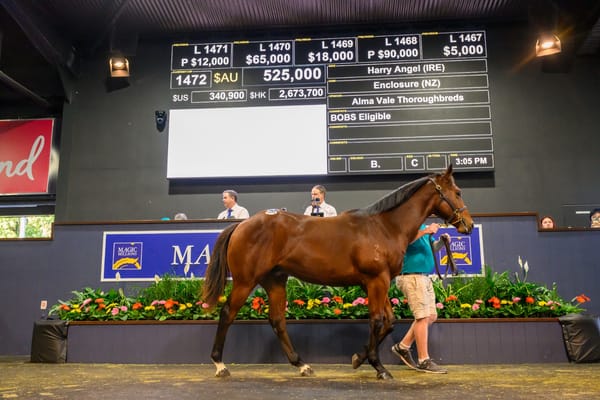 Straight Shorts - Tuesday June 3 - Dream pinhook result at MM, PointsBet in trading halt, Philia favourite for Qld Oaks, second winner for Peltzer
