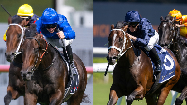 Run The Numbers – Banking a book to start your stud career