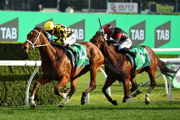 Run The Numbers – The glow of perfection